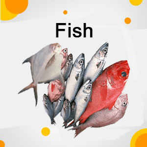 FISH/ മത്സ്യം